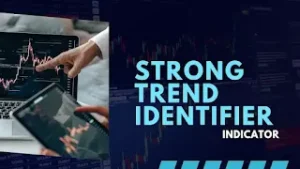 Trend identifier indicator